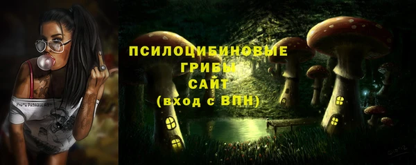 эйфоретик Абинск