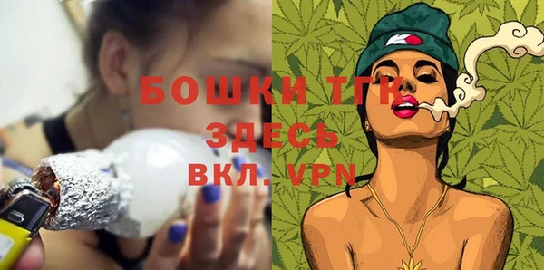 гашик Дмитров