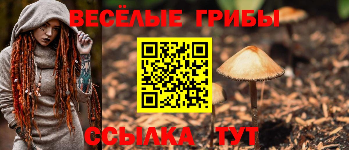 Киржач  купить   Вход с VPN  Галлюциногенные грибы мухоморы  Галлюциногенные грибы мухоморы 
