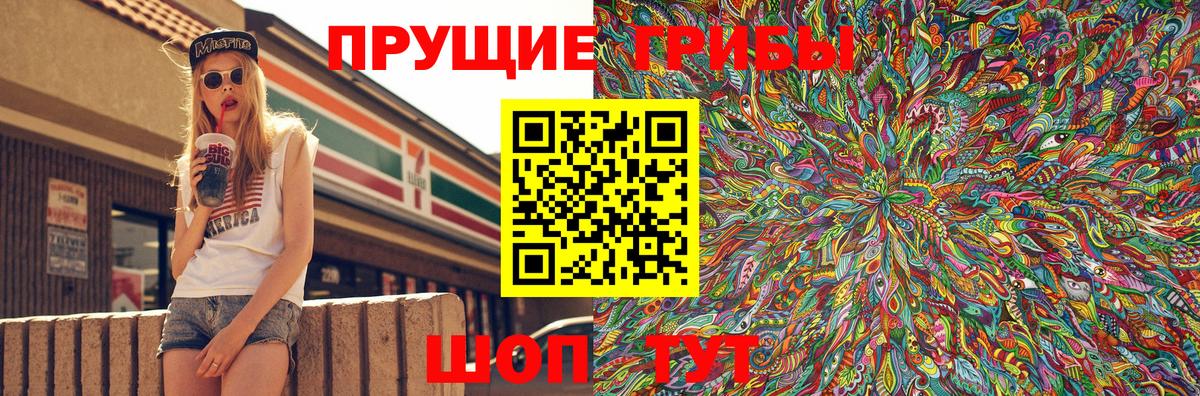 Галлюциногенные грибы Psilocybine cubensis Киржач